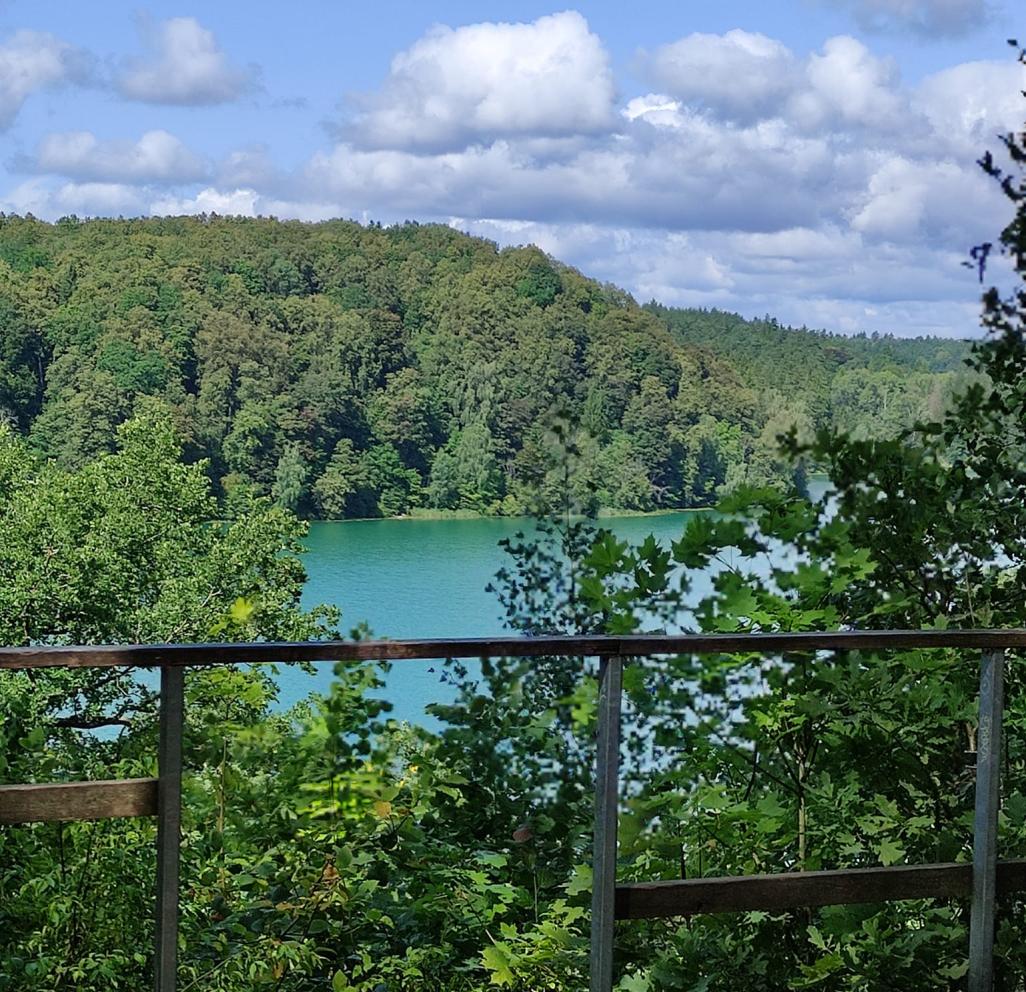 Pažintinis pėsčiųjų žygis Žaliųjų ežerų kraštovaizdžio draustinyje
