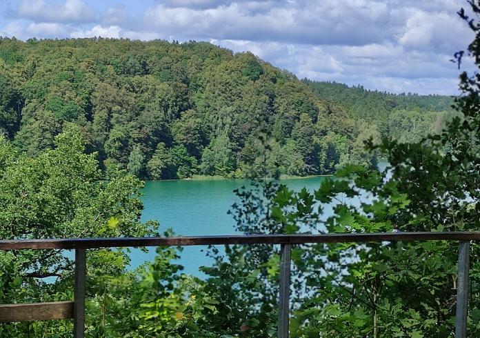 Pažintinis pėsčiųjų žygis Žaliųjų ežerų kraštovaizdžio draustinyje
