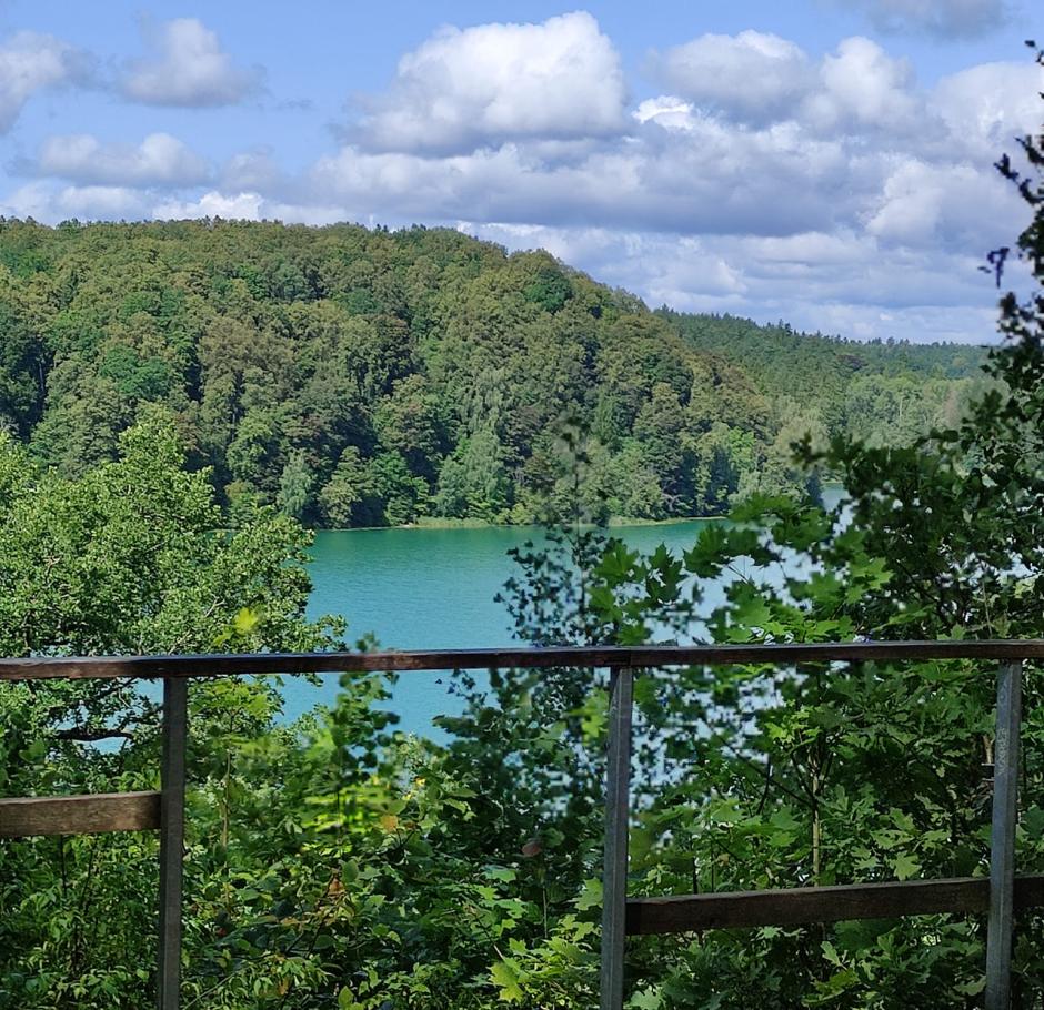 Pažintinis pėsčiųjų žygis Žaliųjų ežerų kraštovaizdžio draustinyje