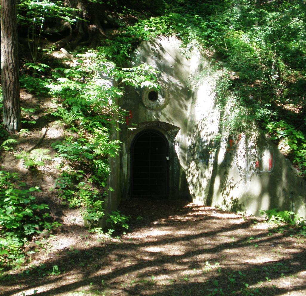 INFORMACINIS PRANEŠIMAS APIE PARENGTĄ BUVEINIŲ APSAUGAI SVARBIOS TERITORIJOS „ANTAKALNIO BUNKERIAI“ GAMTOTVARKOS PLANO PROJEKTĄ