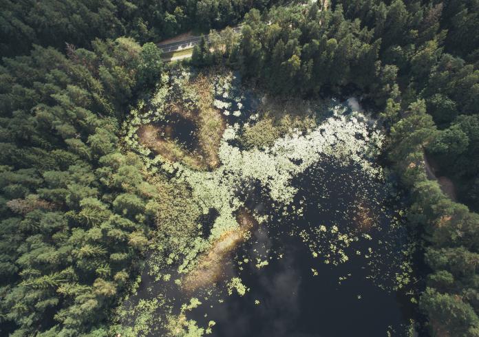 Pažintinis pėsčiųjų žygis Verkių regioniniame parke po Ežerėlių geomorfologinį draustinį 