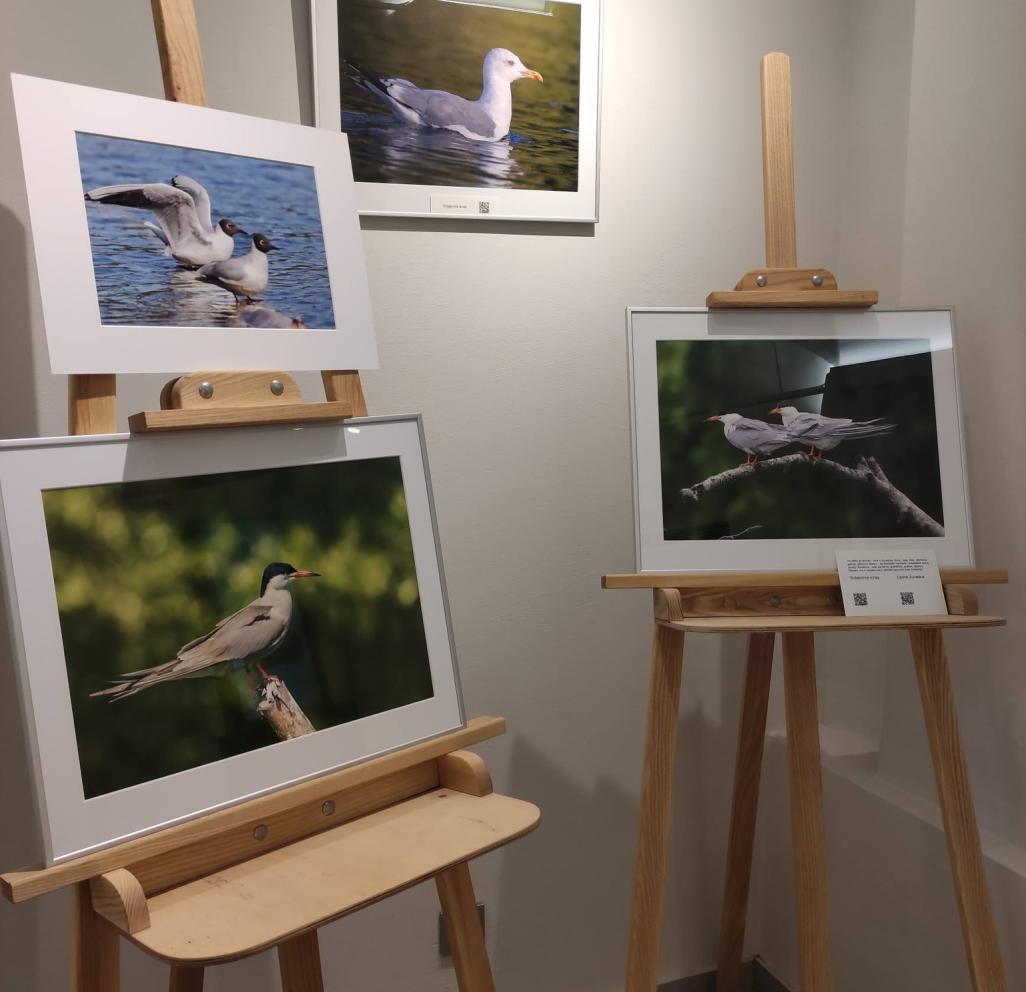 FOTOGRAFIJŲ PARODA „ŽALIŲJŲ EŽERŲ PAUKŠČIAI“