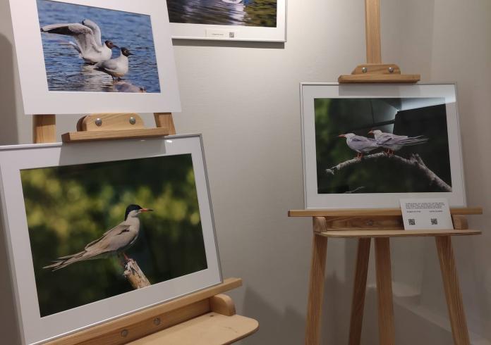 FOTOGRAFIJŲ PARODA „ŽALIŲJŲ EŽERŲ PAUKŠČIAI“