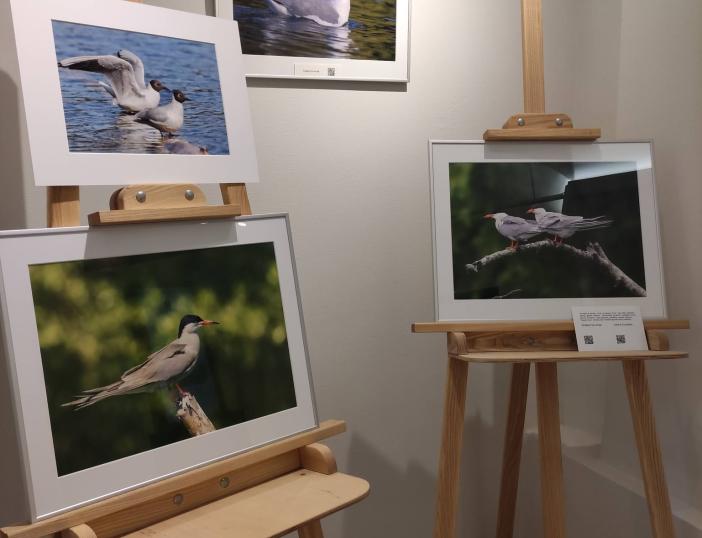 FOTOGRAFIJŲ PARODA „ŽALIŲJŲ EŽERŲ PAUKŠČIAI“