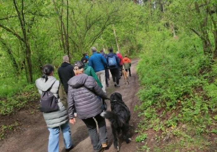 Pažintinis pėsčiųjų žygis po Tapelių kraštovaizdžio draustinį