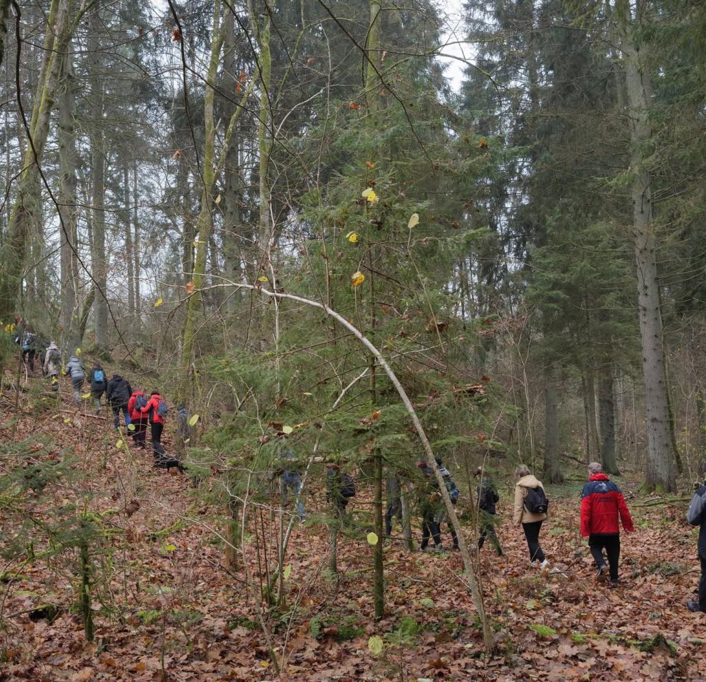 Pėsčiųjų žygis Panerių erozinio kalvyno kraštovaizdžio draustinio takais