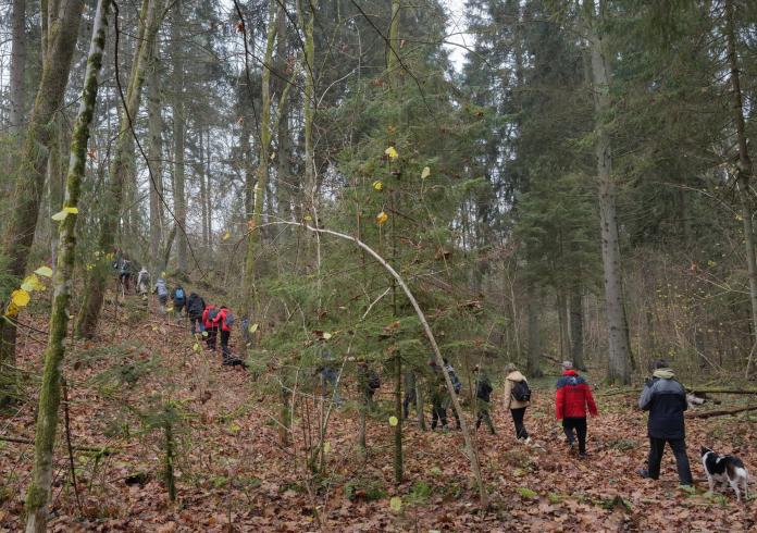 Pėsčiųjų žygis Panerių erozinio kalvyno kraštovaizdžio draustinio takais
