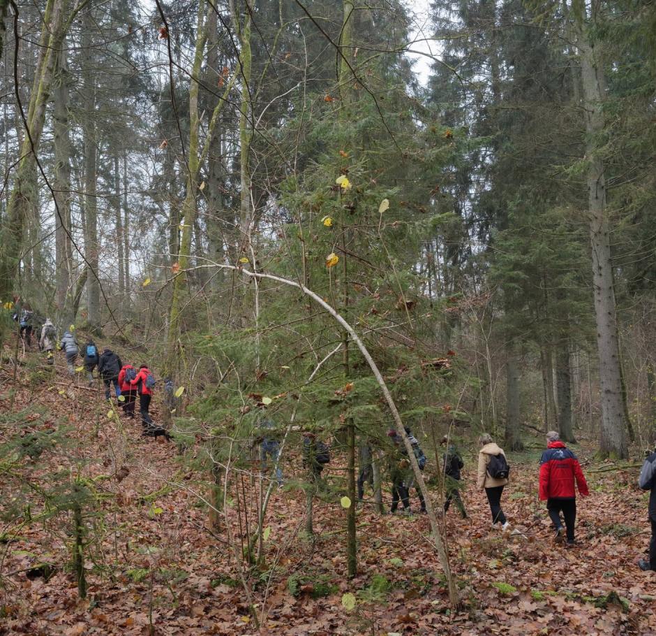 Pėsčiųjų žygis Panerių erozinio kalvyno kraštovaizdžio draustinio takais
