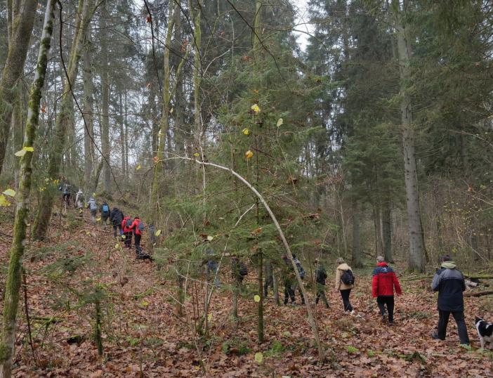 Pėsčiųjų žygis Panerių erozinio kalvyno kraštovaizdžio draustinio takais