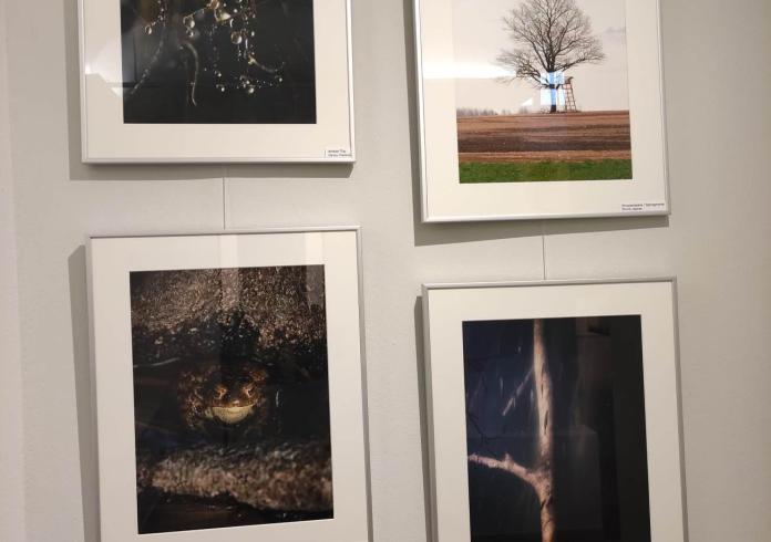 FOTOGRAFIJŲ PARODA „MEDŽIO KVĖPAVIMAS“
