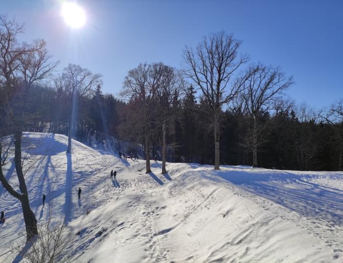 Prof. Liberto Klimkos paskaita „Saulės kelias dangaus skliautu“