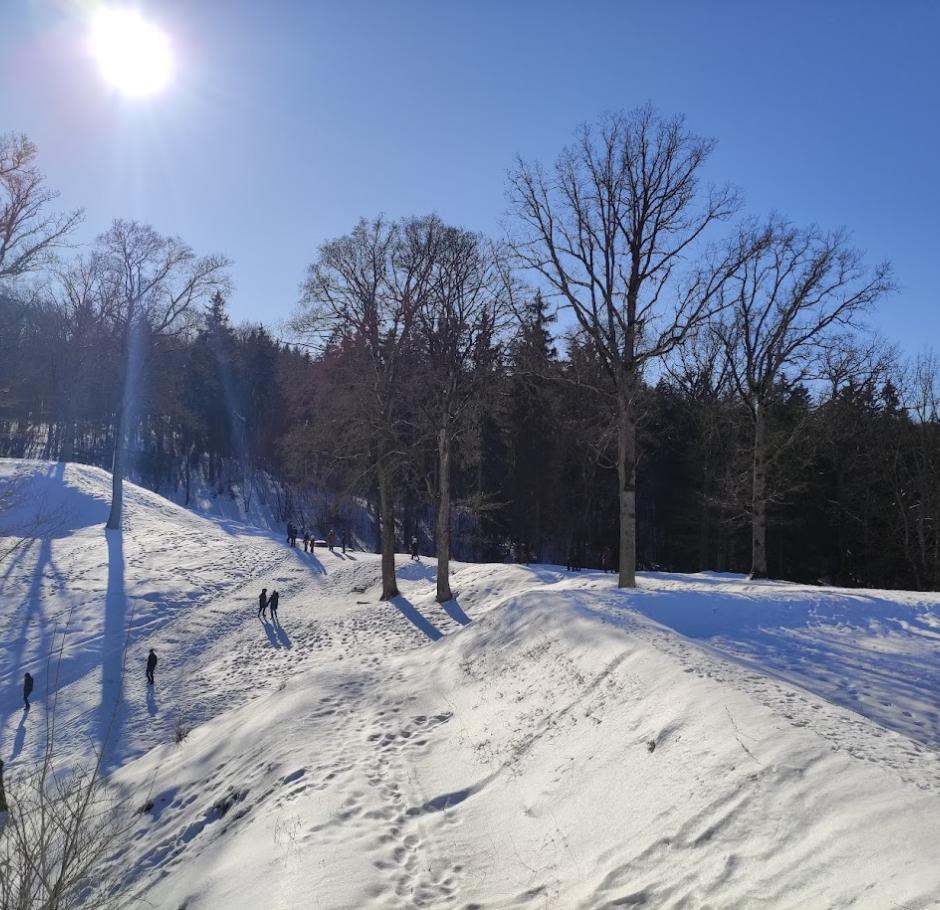Prof. Liberto Klimkos paskaita „Saulės kelias dangaus skliautu“