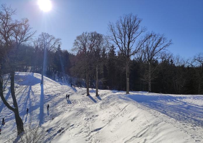 Prof. Liberto Klimkos paskaita „Saulės kelias dangaus skliautu“