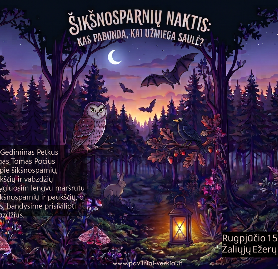 Šikšnosparnių naktis 2026