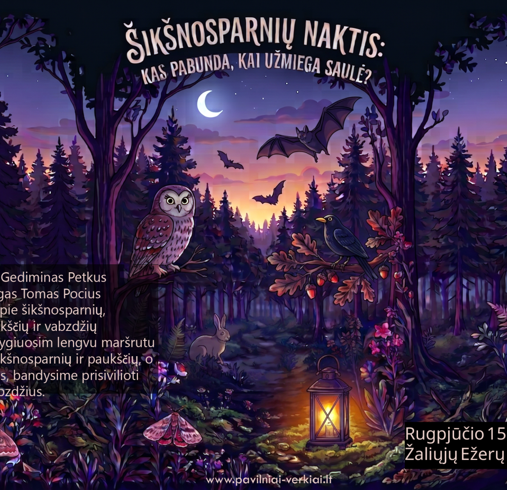 Šikšnosparnių naktis 2026