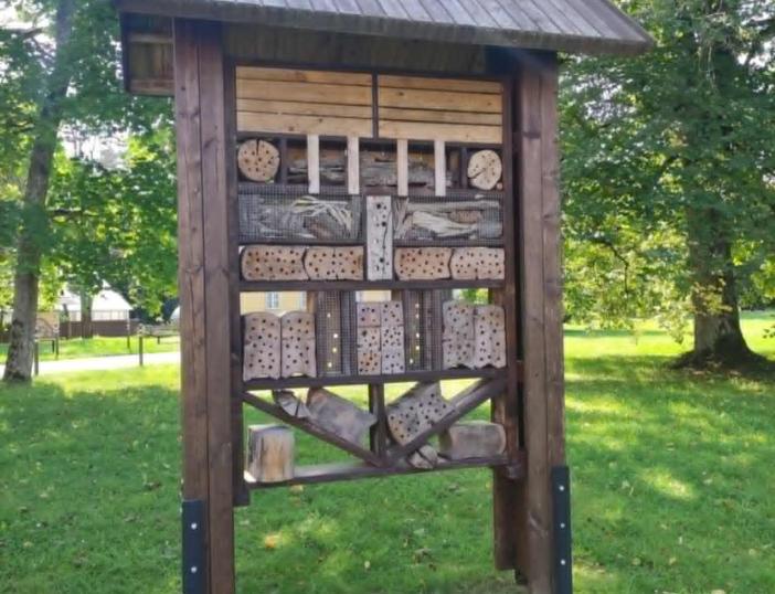 Edukacija  apie vabzdžius su entomologu