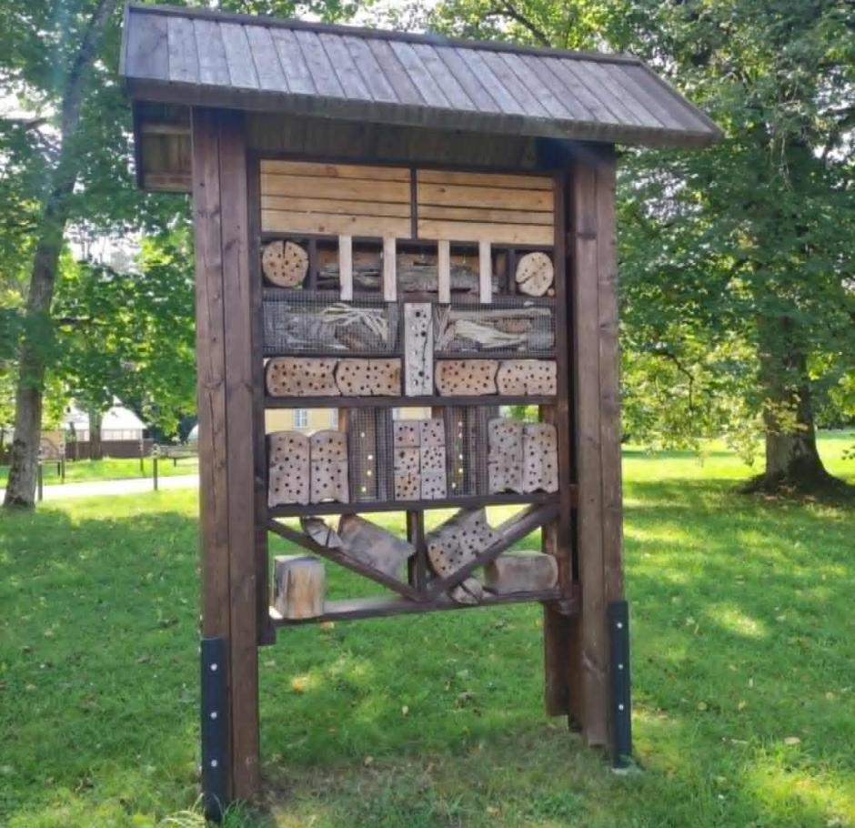 Edukacija  apie vabzdžius su entomologu