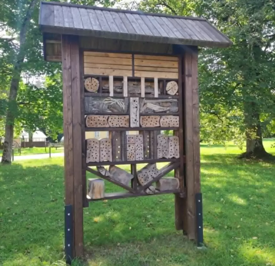 Edukacija  apie vabzdžius su entomologu