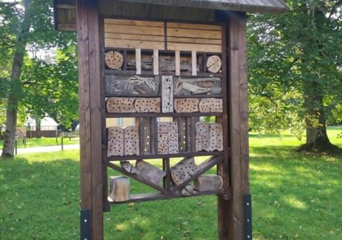 Edukacija  apie vabzdžius su entomologu